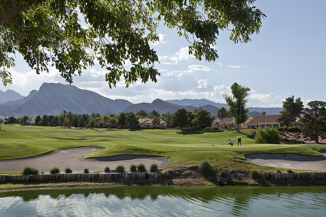 Hole No. 8 at Palm Valley Golf Course offers many challenges. (Special to View)
"If you didn't hit an ACE during your round,try hitting ACES at the new video poker bar and Restaurant at Palm Valle ...