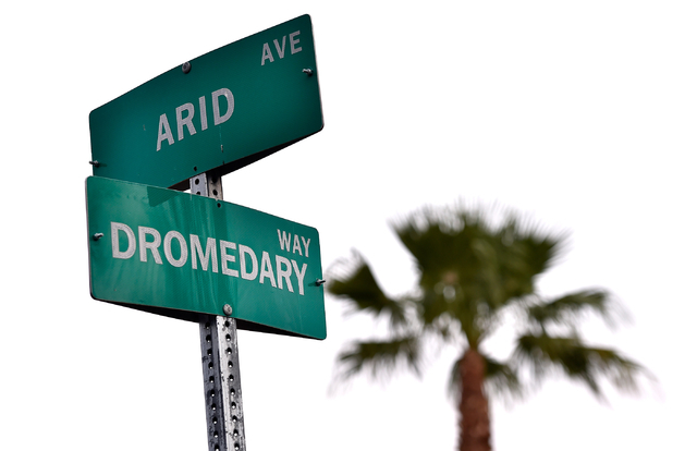Dromedary Way at Arid Avenue is seen Monday, April 25, 2016, in Las Vegas. (David Becker/Las Vegas Review-Journal Follow @davidjaybecker)
