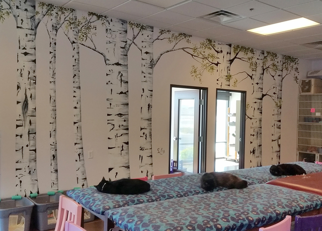 Local artist Lily Adamczyk created a mural for the Poppy Foundation, 6601 Sky Pointe Drive, a nonprofit rescue that permanently houses chronically ill, abused or abandoned felines. Special to View