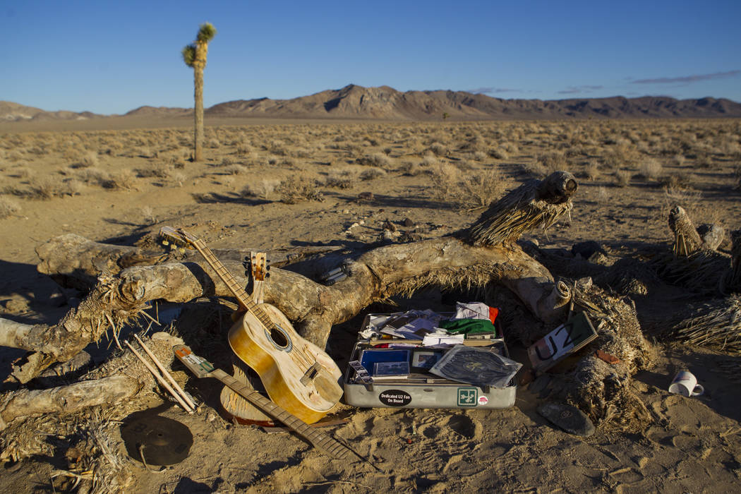 A briefcase with tributes and memorabilia from fans of rock band U2 sits with the fallen tree t ...