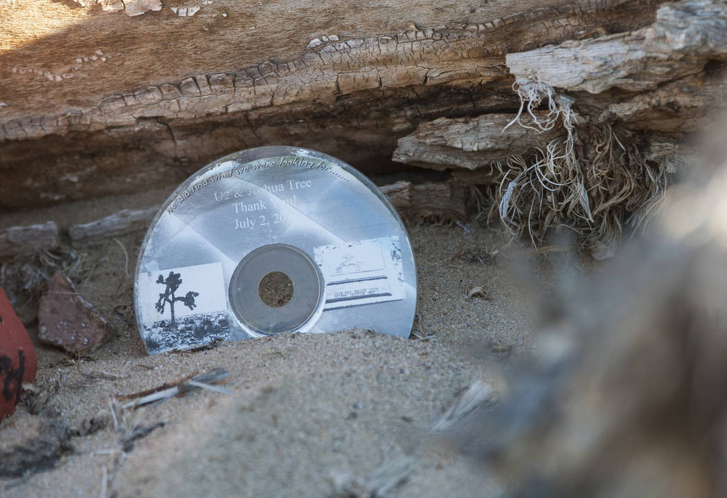 The remains of the tree featured in the album artwork of U2's 1987 album "The Joshua Tree" is s ...