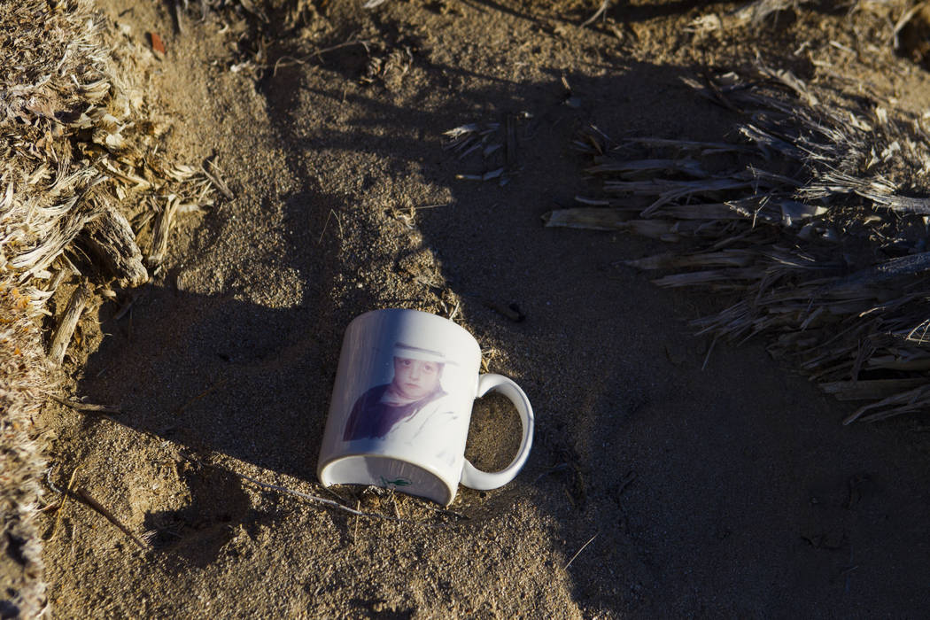 A mug left by fans of rock band U2 sits with the fallen tree that appeared in the band's 1987 a ...