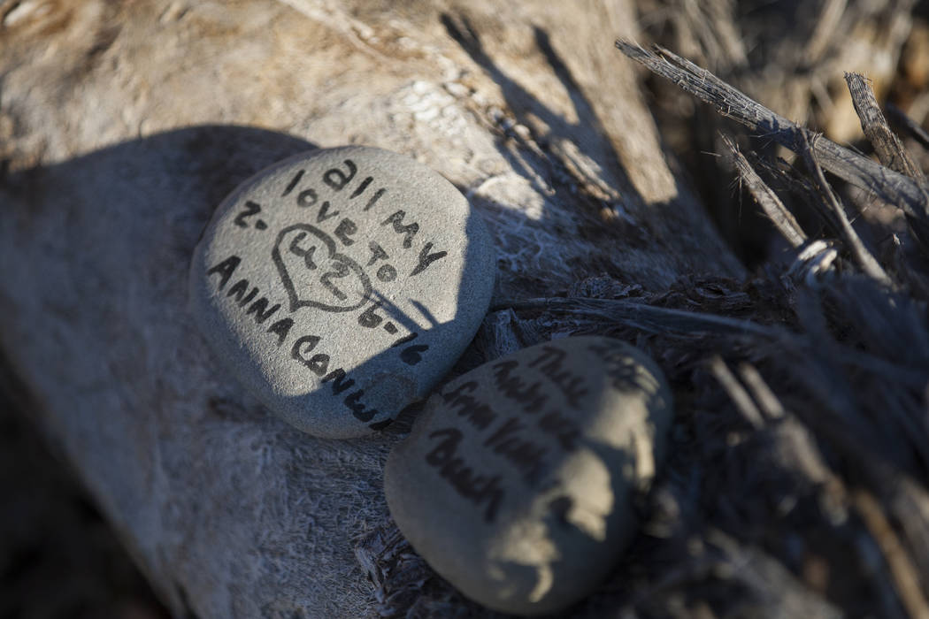 A rock left by fans of rock band U2 sits with the fallen tree that appeared in the band's 1987 ...