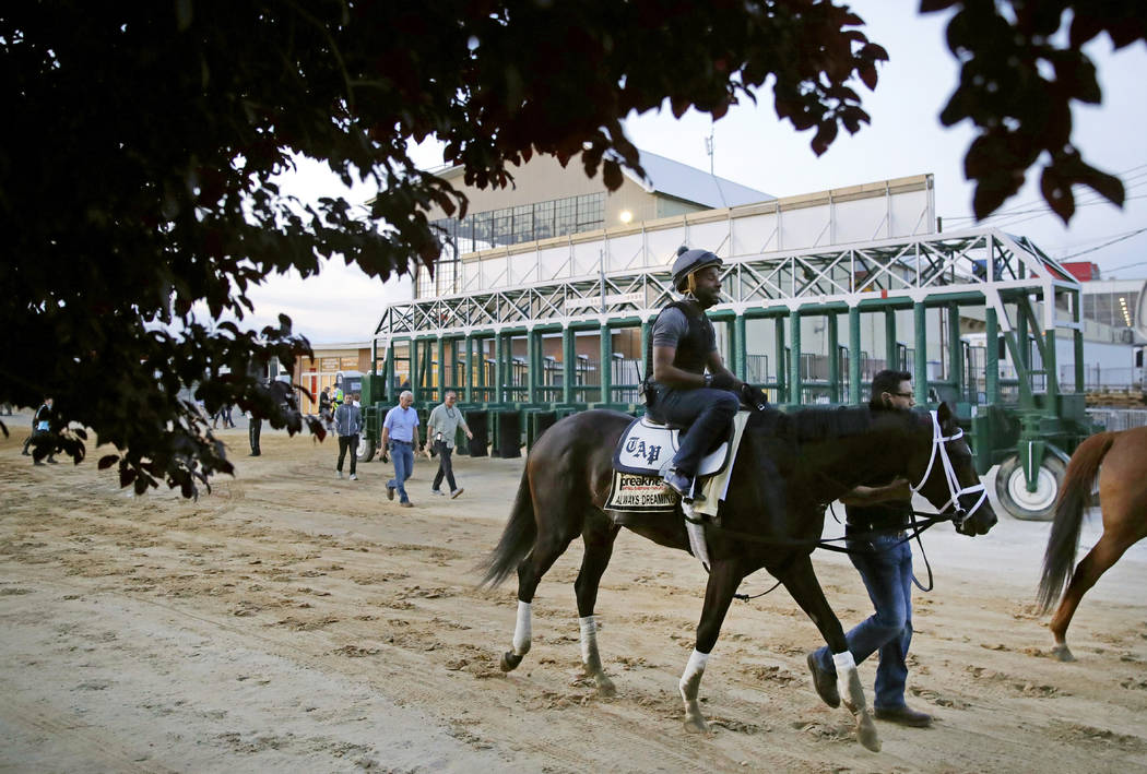Kentucky Derby winner Always Dreaming, ridden by exercise rider Nick Bush, walks past the starting gates after a workout at Pimlico Race Course in Baltimore, Thursday, May 18, 2017. The Preakness  ...