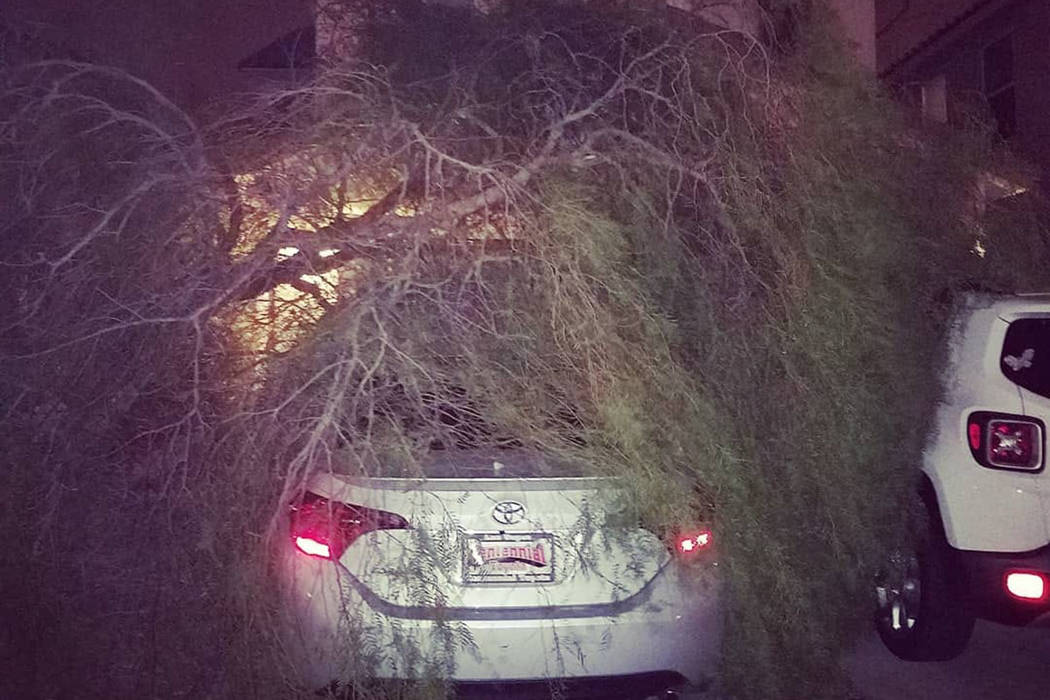 A storm Saturday night knocked over a tree onto a new car on Aug. 11, 2018 at Rainbow and 215. (Christina Murray)