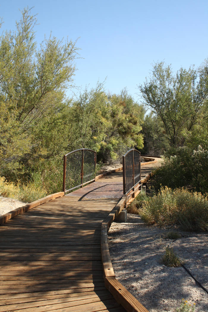 Boardwalks can be found throughout Ash Meadows National Wildlife Refuge. (Deborah Wall/Las Vega ...