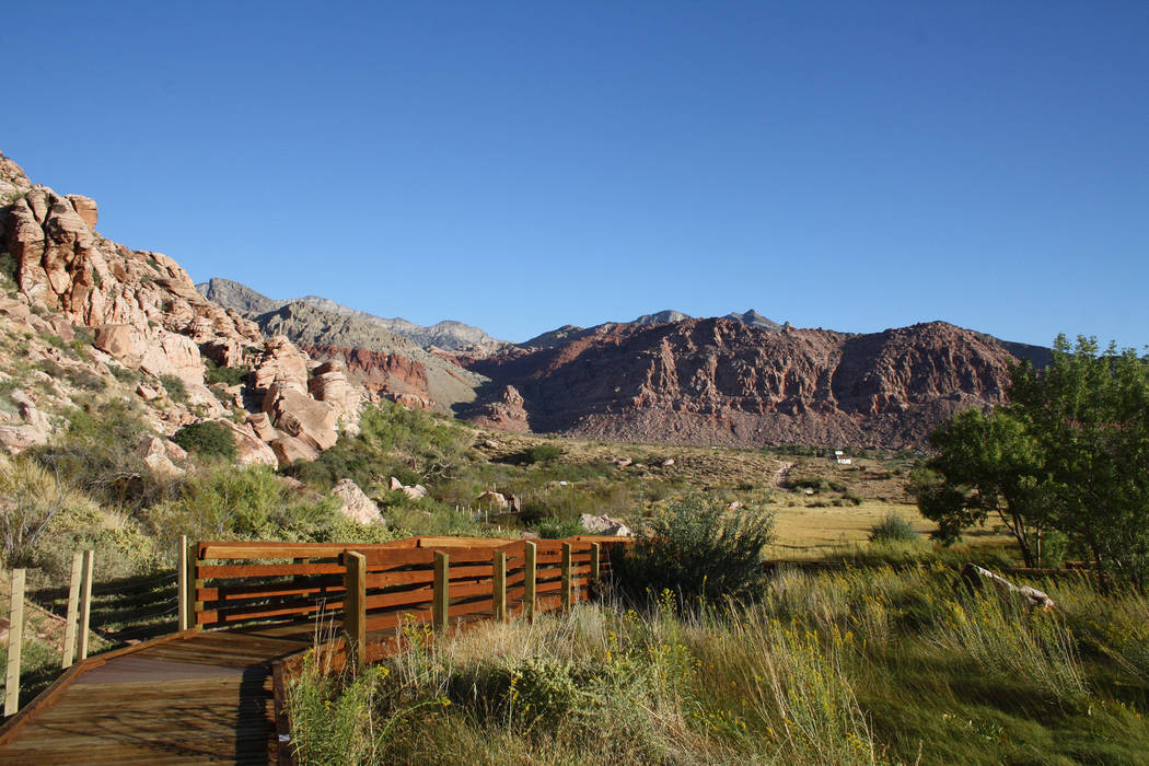 A boardwalk serves as your trail at the Calico Basin-Red Spring Interpretive Trail at Red Rock Canyon National Conservation Area. (Deborah Wall/Las Vegas Review-Journal)