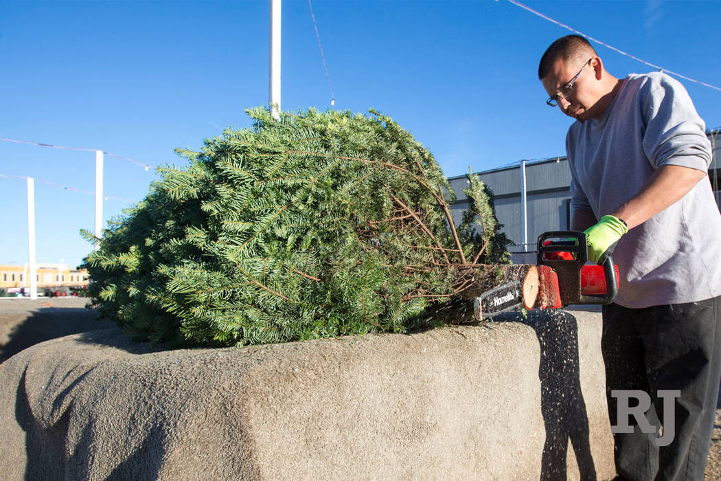 Mike Flores cleans up a tree stem in preparation for a sale at Rudolph's Christmas Trees locate ...