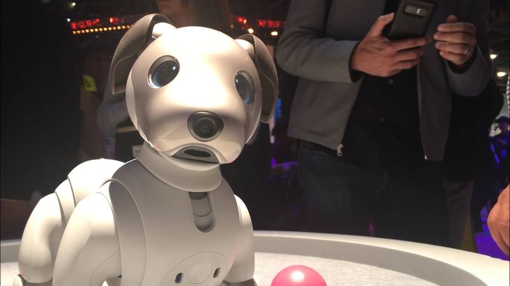 Sony’s robot dog Aibo at CES in Las Vegas on Tuesday, Jan. 8, 2019. Michael Scott Davidson/Las Vegas Review-Journal