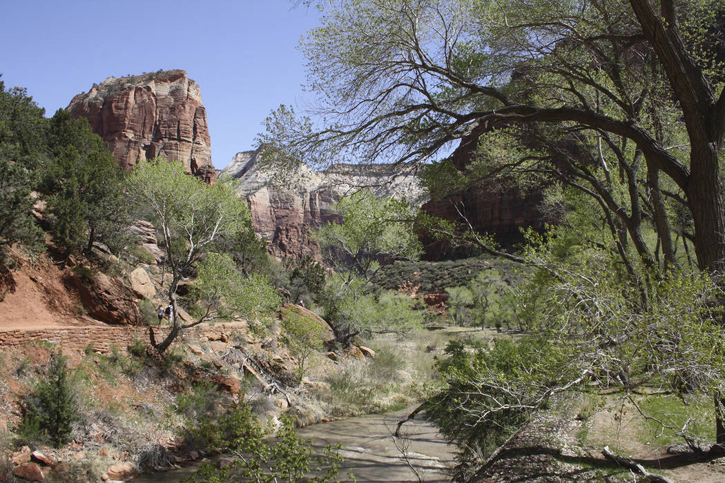 The trail toward Angel’s Landing in Zion National Park, Utah. (Deborah Wall/Special to View)