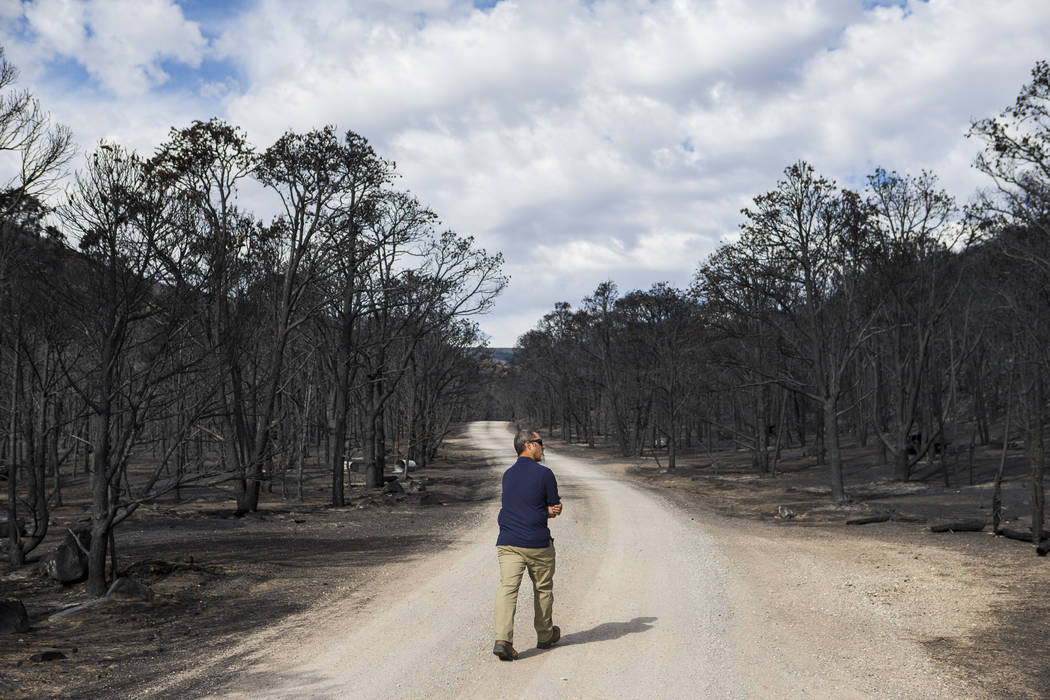 Ben Roberts, chief of natural resources at Great Basin National Park, surveys damage from the S ...