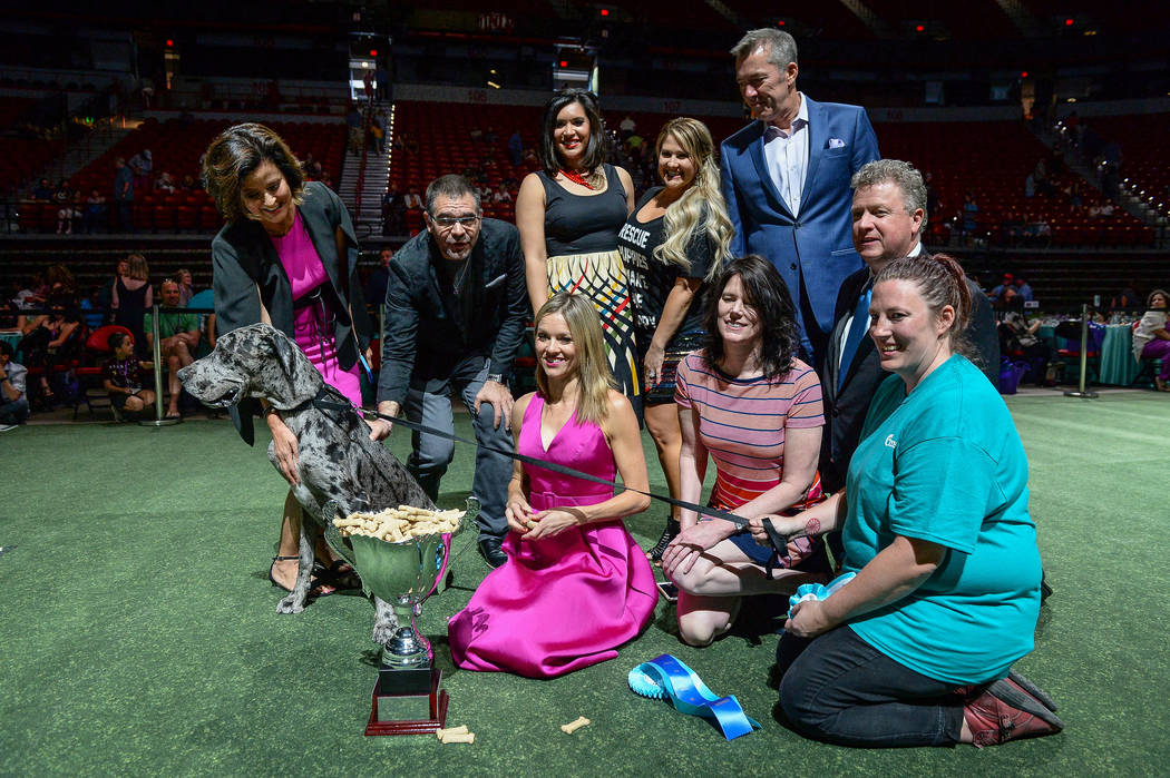 Dottie poses for a photo with judges after taking the Best in Show title during the Animal Foun ...