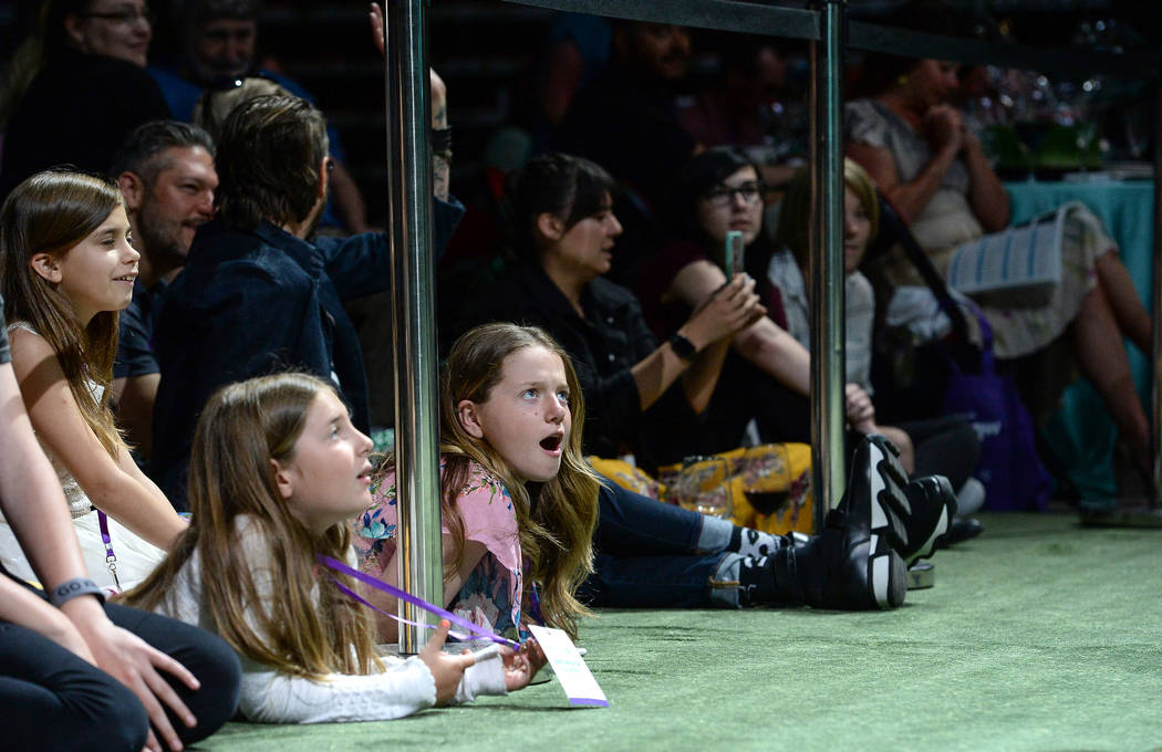 Addie, 11, from Las Vegas looks on during the Animal Foundation's annual Best in Show charity e ...
