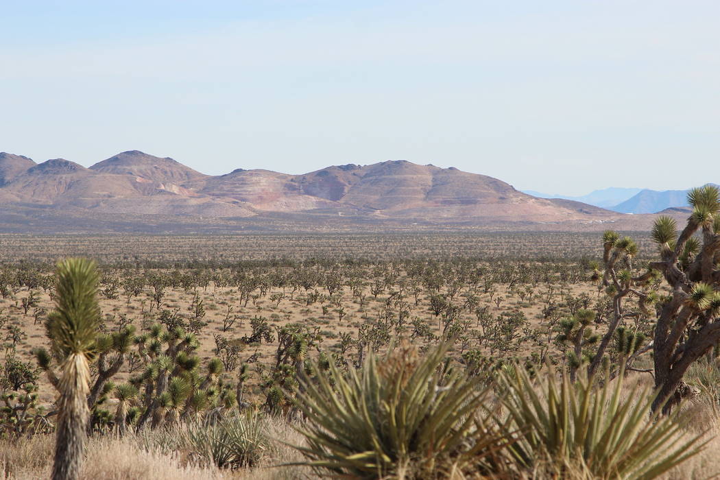 A photo from November 2017 shows the Castle Mountain Mine and the surrounding national monument ...