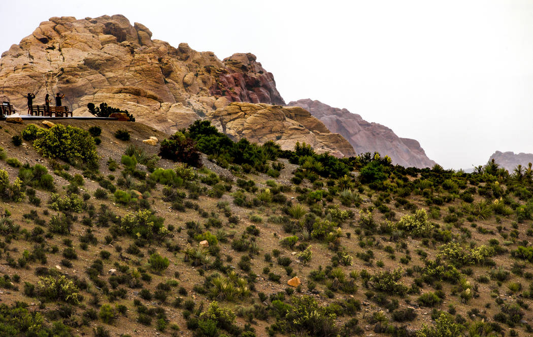 Visitors brave the rain for some photos as a fast-moving storm makes its way through the Red Ro ...