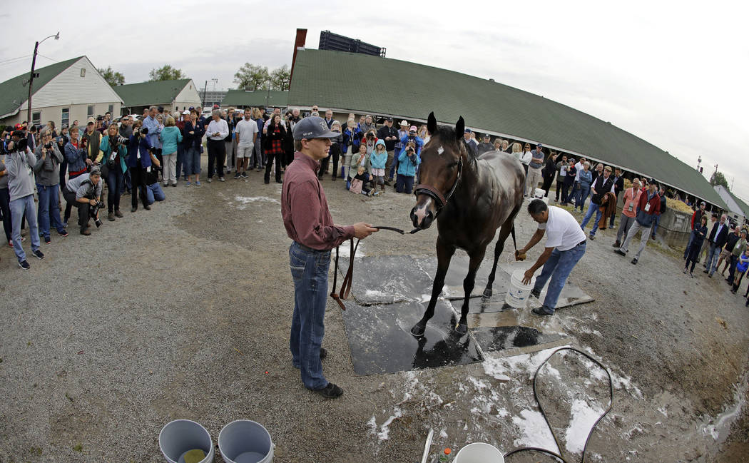 Kentucky Derby hopeful Omaha Beach gets a bath after a workout at Churchill Downs Tuesday, Apri ...