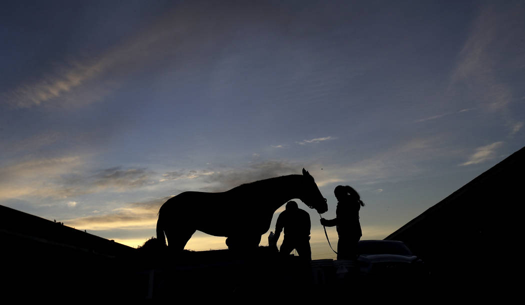 Kentucky Derby hopeful Game Winner gets a bath after a workout at Churchill Downs Monday, April ...