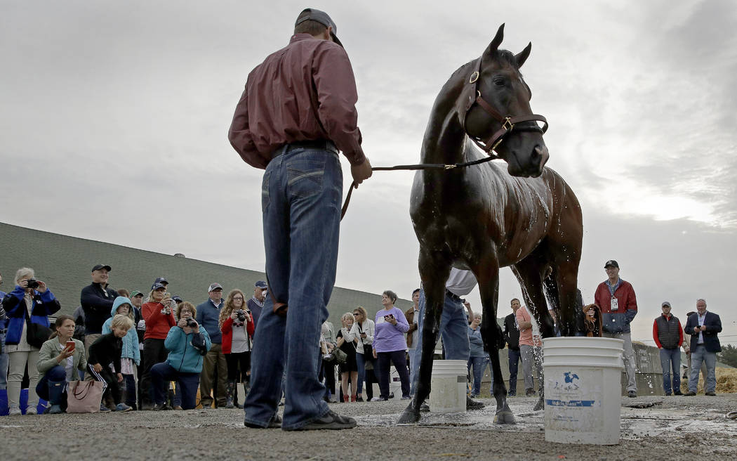 Kentucky Derby hopeful Omaha Beach gets a bath after a workout at Churchill Downs Tuesday, Apri ...