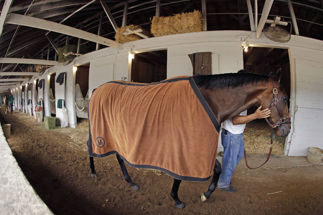 Kentucky Derby hopeful Omaha Beach is walked in his barn after a workout at Churchill Downs Tue ...