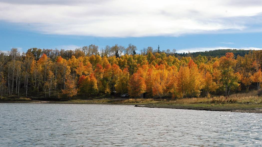 Fall fishing at Kolob Reservoir is among the best to be found in Utah's high country. Even when ...