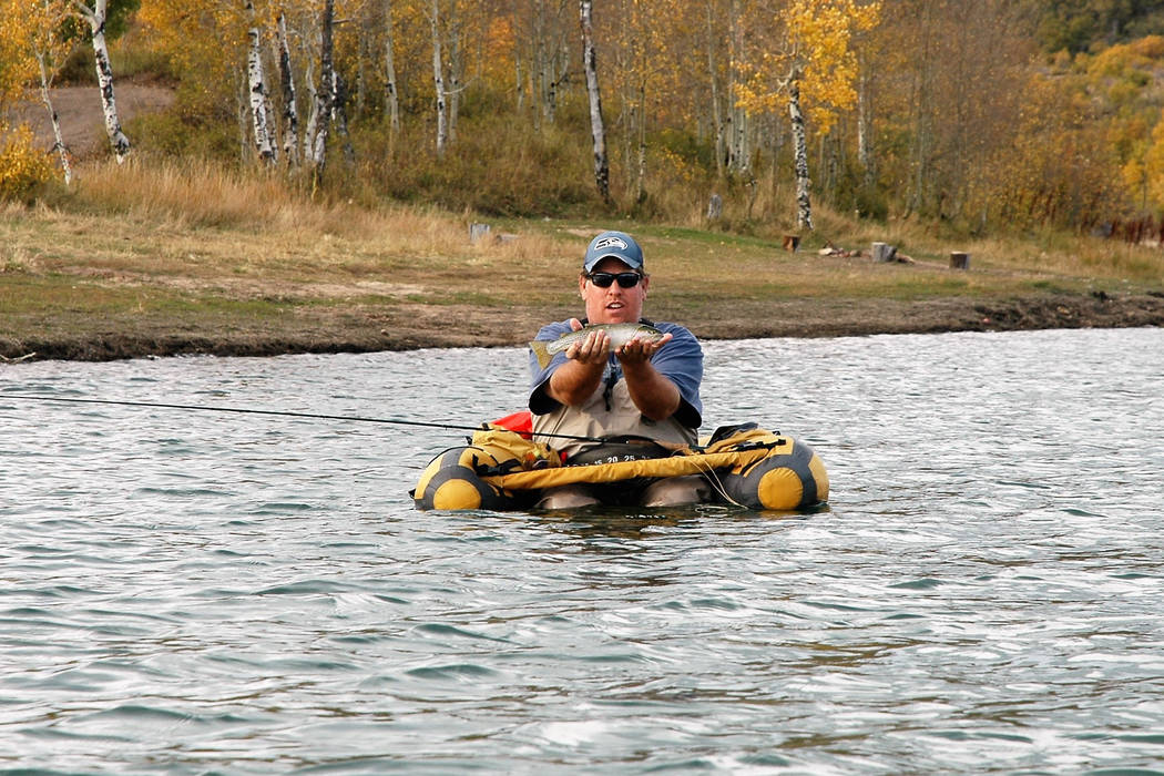 Trevis Lee, of Henderson, hoists a rainbow trout he caught at Kolob Reservoir in Southern Utah. ...