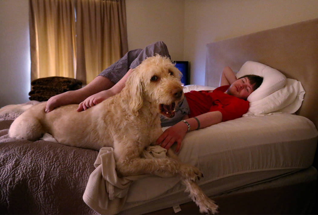 Grayson McClure, 23, rests with his service dog Yojimbo in his Reno home on Monday, May 9, 2016 ...