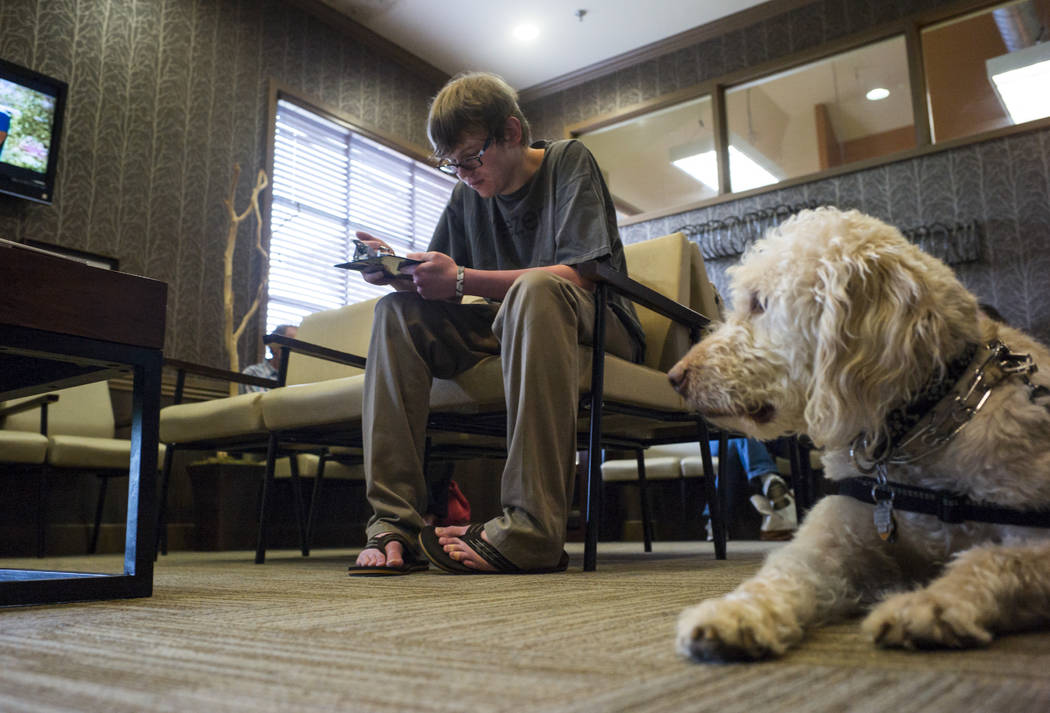 Grayson McClure fills out paperwork for his physical therapy appointment as his service dog Yoj ...