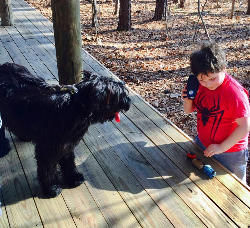 This 2017 photo provided by Shannon Poirier shows her son, Daniel, with service dog, Boston, at ...