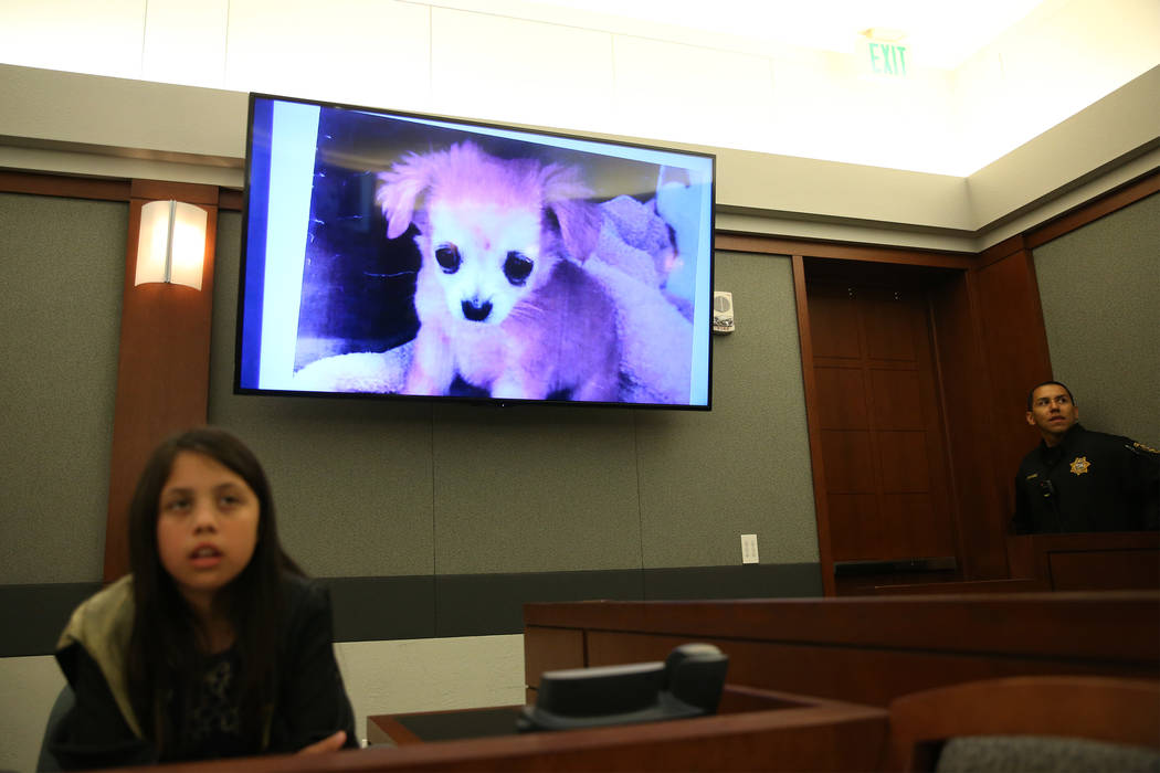 A picture of a pink dog is presented as evidence during a mock trial at the Regional Justice Ce ...