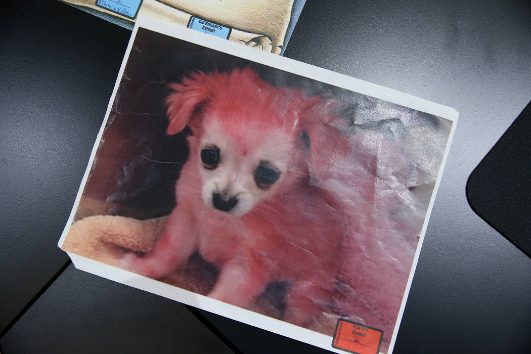 A picture of a pink dog sits on a table to be presented as evidence during a mock trial at the ...