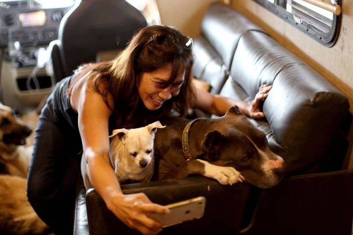 Michelle Silva, of Henderson, takes a selfie with Queen and Stella in The Asher House RV in the ...