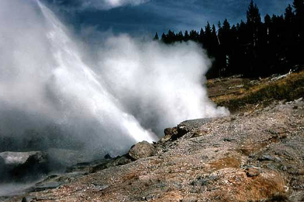 This recent but undated photo provided by the National Park Service shows Ledge Geyser in Yello ...