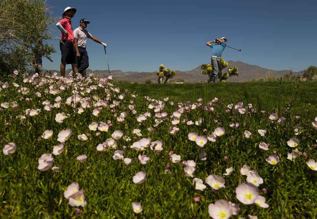 Golfer Van Thomas tees off about a course filled with wildflowers during a PGA US Open qualifyi ...
