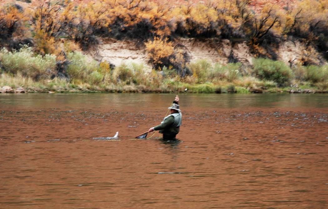 Public lands provide for a variety of outdoor experiences, including camping, hunting and fishi ...