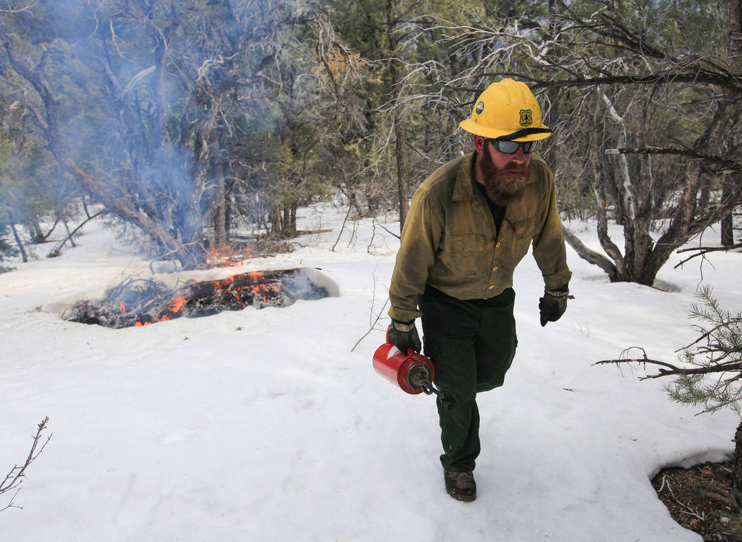 U.S. Forest Service Senior Firefighter Jerry Hart, 39, walks up a hill away from a prescribed b ...