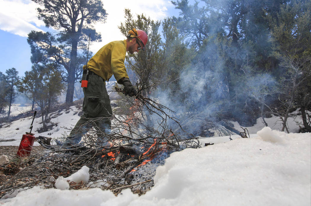 U.S. Forest Service Senior Firefighter Joel Presmyk, 26, chunks a fire during a prescribed burn ...