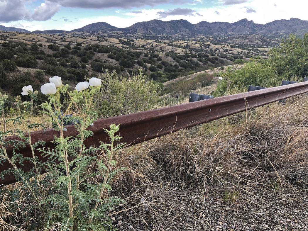 This photo taken Monday, May 12, 2019, off Arizona scenic state Highway 83 shows the eastern sl ...