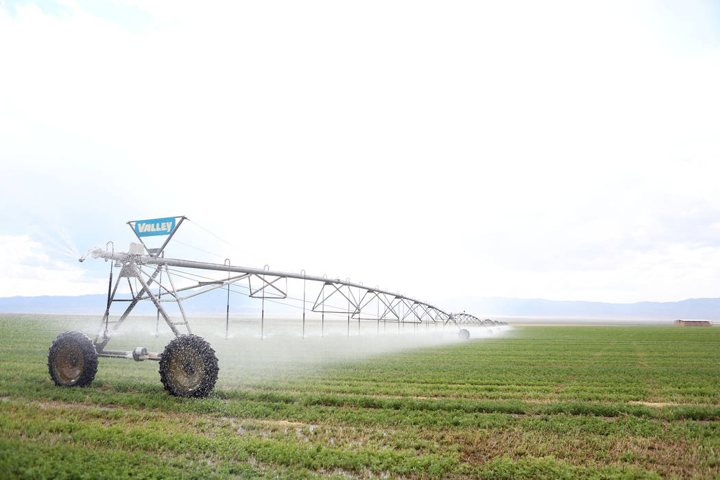 Water sprays on a hay field on Aug. 7 at a ranch in White Pine County's Spring Valley. (Las Veg ...