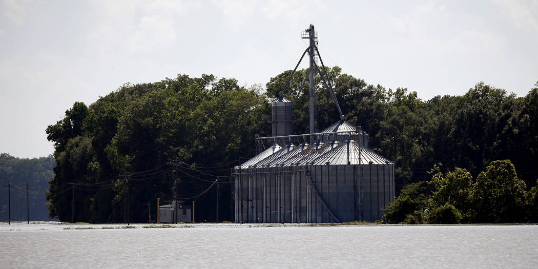 In this Thursday, May 23, 2019 photo, backwater flooding has rendered this Holly Bluff, Miss., ...