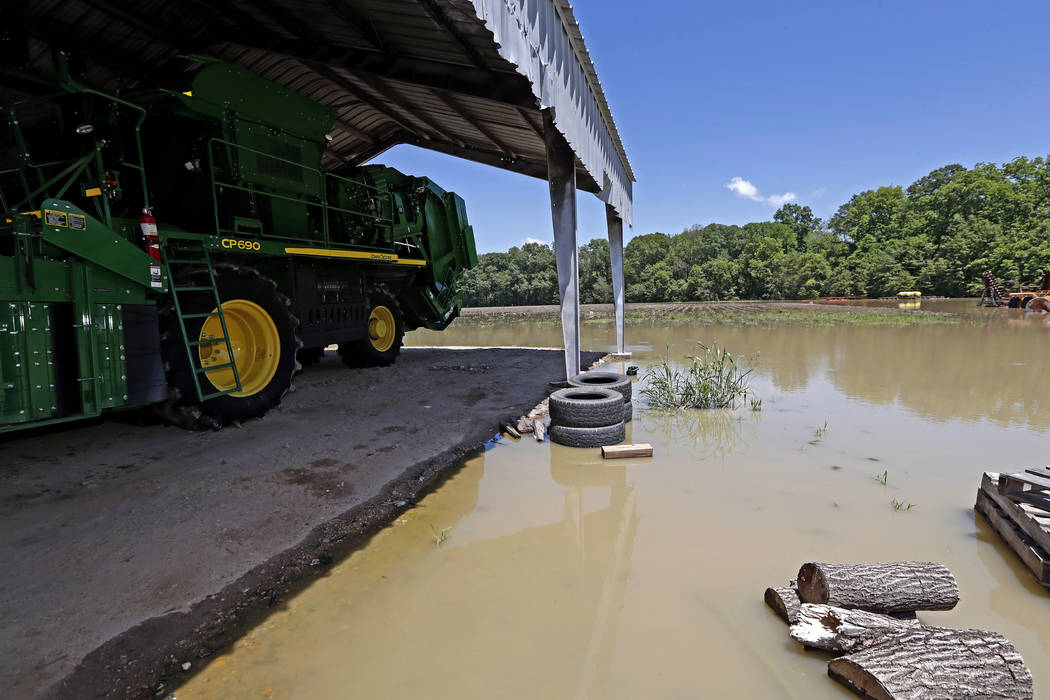 In this Thursday, May 23, 2019 photo, a cotton picking tractor of Grosvenor Farms sits marooned ...