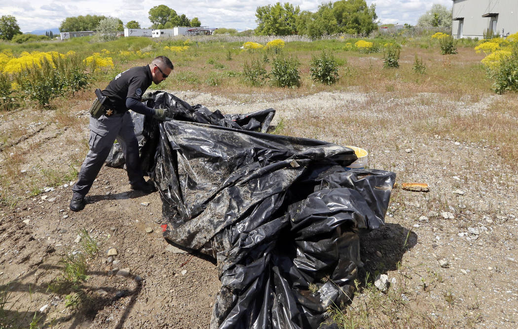 Searchers look for signs of 5-year-old Elizabeth Shelley Tuesday, May 28, 2019, in Logan, Utah ...