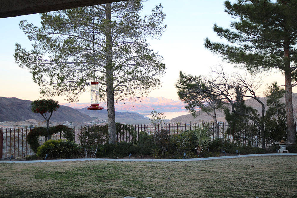 The home is located on 2.2 acres. (Mt. Charleston Realty)