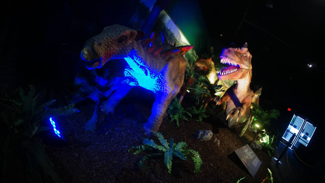 Dinosaurs have invaded the Springs Preserve in Las Vegas. This prehistoric exhibit runs all sum ...