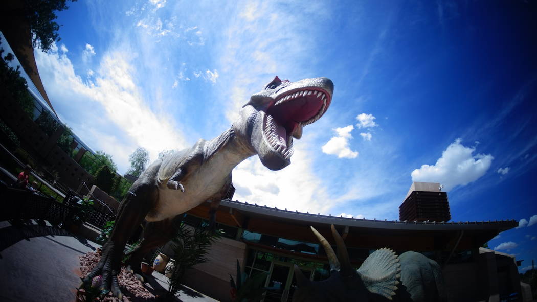 Dinosaurs have invaded the Springs Preserve in Las Vegas. This prehistoric exhibit runs all sum ...