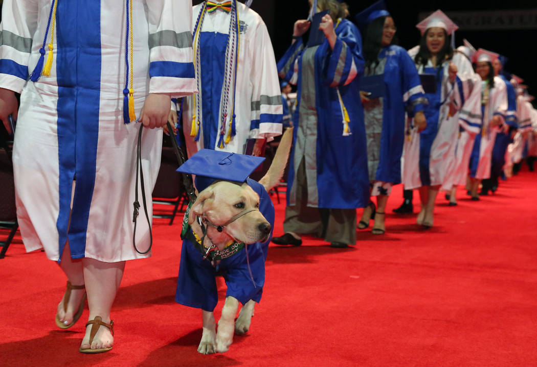 College of Southern Nevada High School student Sydney Hansen walk the procession with her yello ...