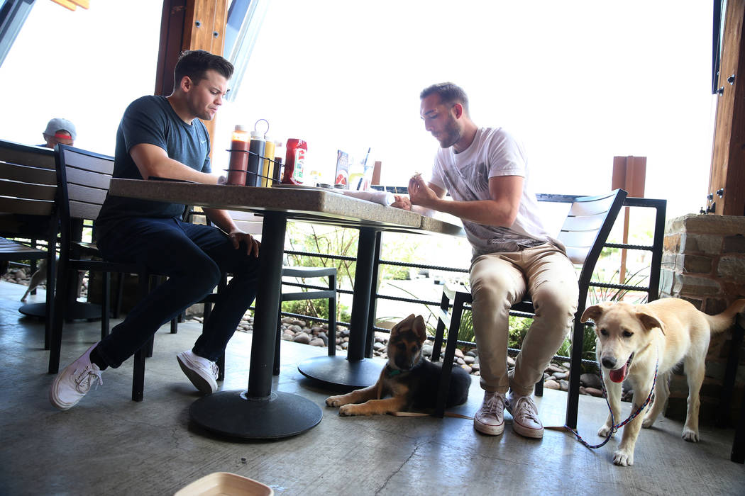 Jerry King, right, with his dogs Jasper, left, and Mylo, has lunch with his friend Paul McHugh, ...