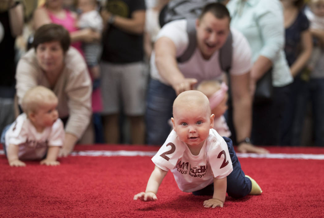 Babies crawl during the Baby Race event to mark international Children's Day in Vilnius, Lithua ...