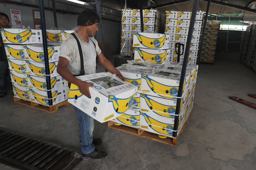 FILE - In this May 31, 2019 file photo, a worker stacks a box of freshly harvested Chiquita ban ...