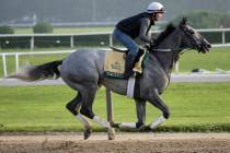 Exercise rider Joe Ramos rides Tacitus during a workout at Belmont Park in Elmont, N.Y., Thursd ...