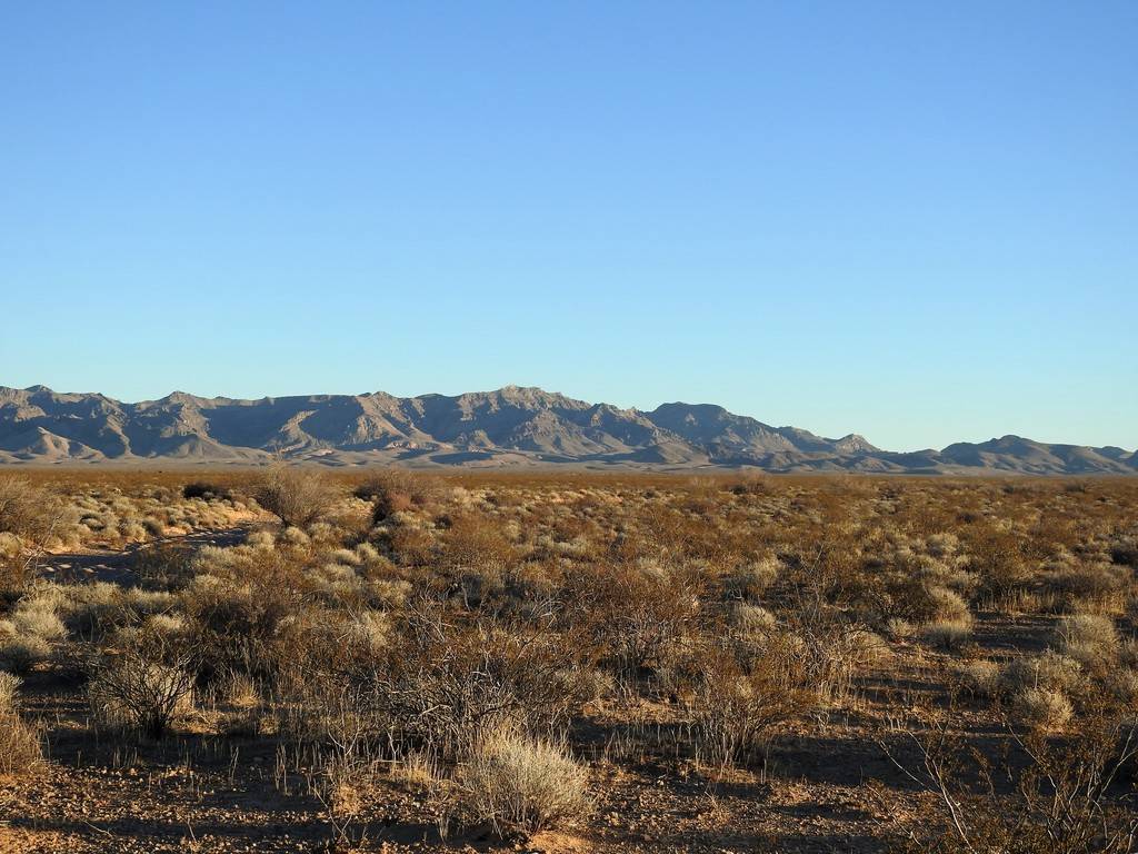 This patch of desert east of Interstate 15 near the road to Valley of Fire State Park is the pr ...